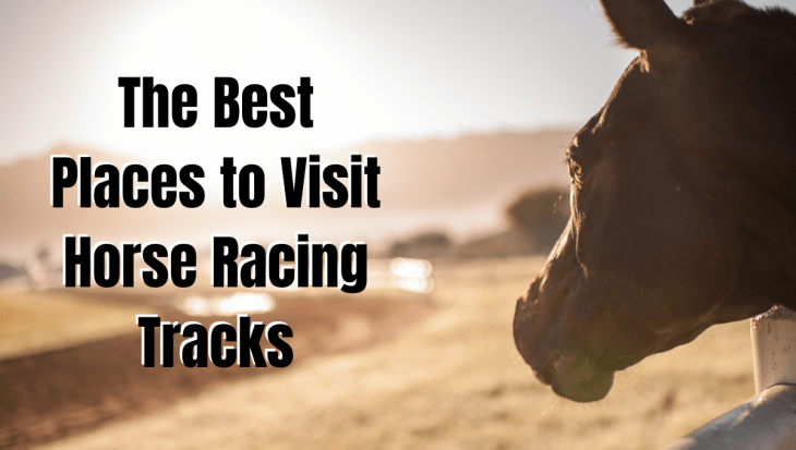 The Best Places to Visit Horse Racing Tracks